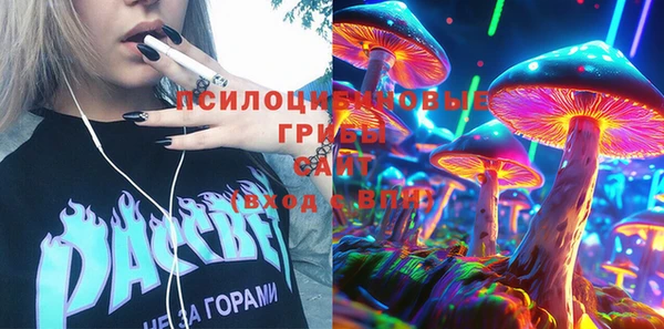 Альфа ПВП Аркадак