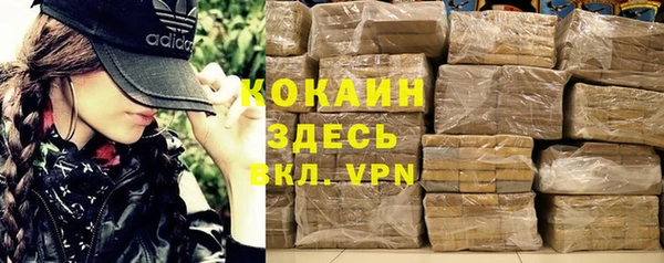 spice Алзамай